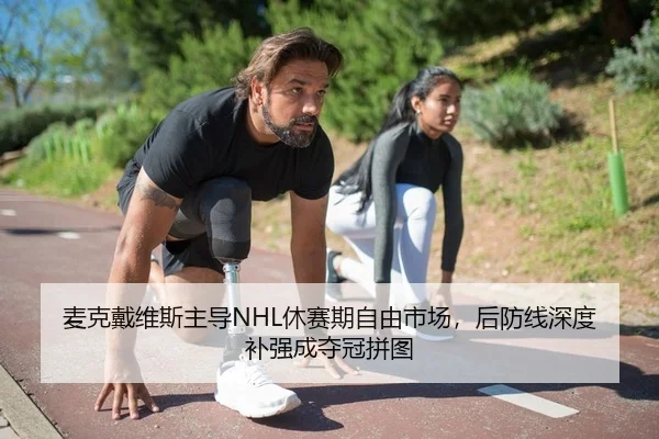 麦克戴维斯主导NHL休赛期自由市场，后防线深度补强成夺冠拼图